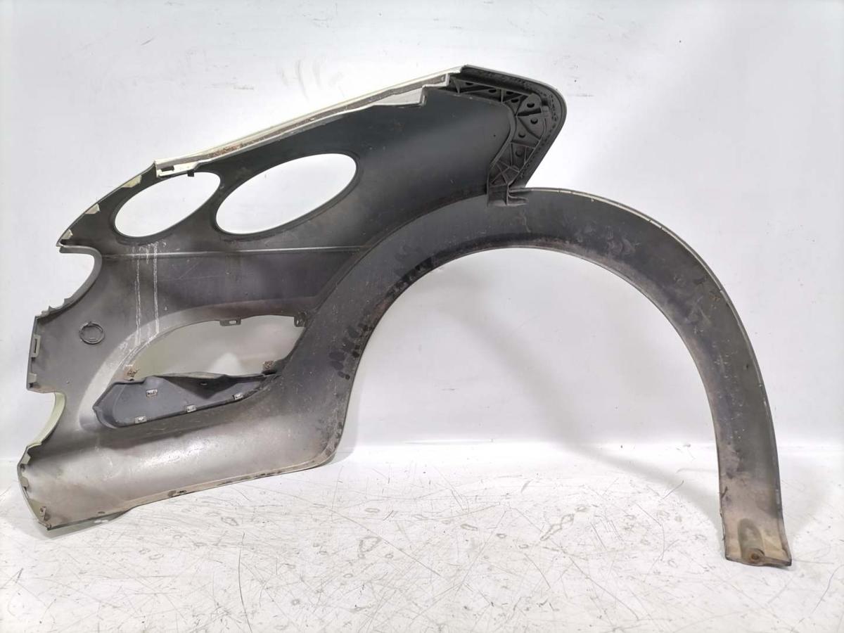 Smart Forfour 454 original Kotfl&uuml;gel vorn rechts EAR Melon Green Bj.2004